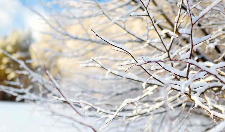 Sweetwater County Will Go from Red Flag Warnings to Winter Storm Watch