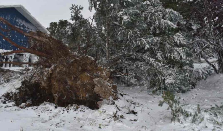 Record Breaking Temperatures, 80+ MPH Winds Hit Sweetwater County