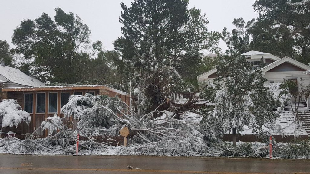 Rocky Mountain Power Working to Restore Power to Estimated 185K Customers After High Winds and Gusts