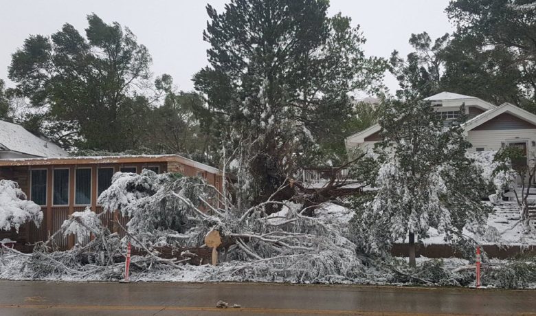 Rocky Mountain Power Working to Restore Power to Estimated 185K Customers After High Winds and Gusts