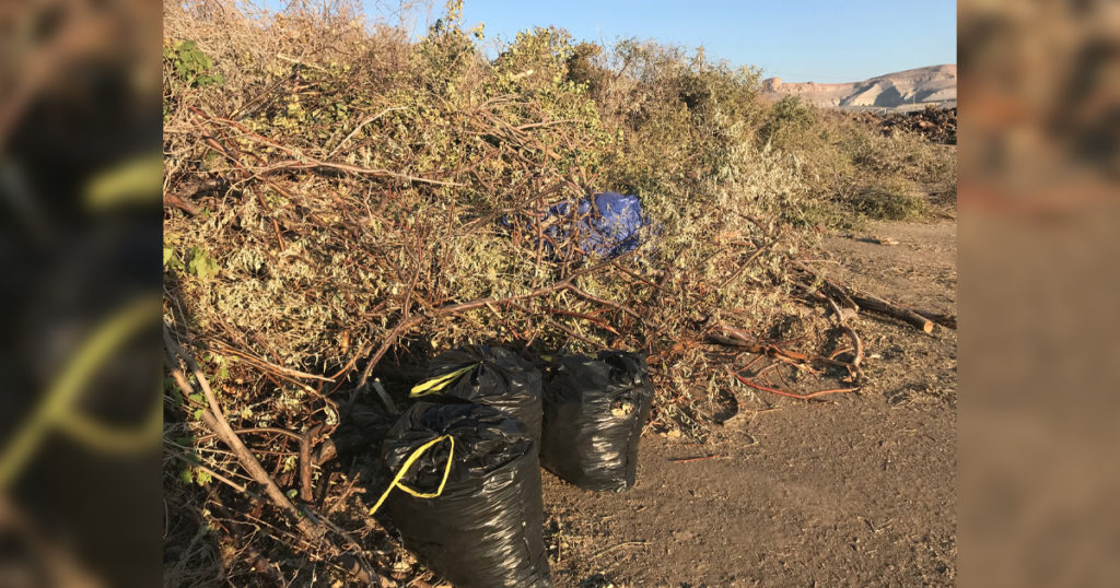 City of Green River Still Accepting Storm Debris