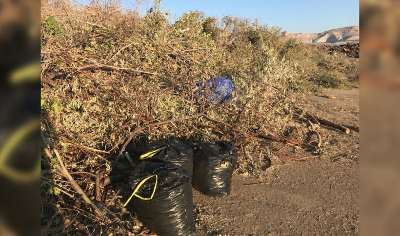 City of Green River Still Accepting Storm Debris