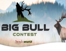 TRN Media’s Annual Big Bull Contest…it’s BACK!