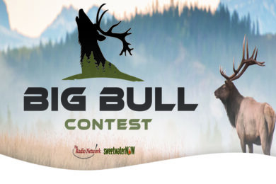 TRN Media’s Annual Big Bull Contest…it’s BACK!