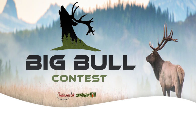 TRN Media’s Annual Big Bull Contest…it’s BACK!