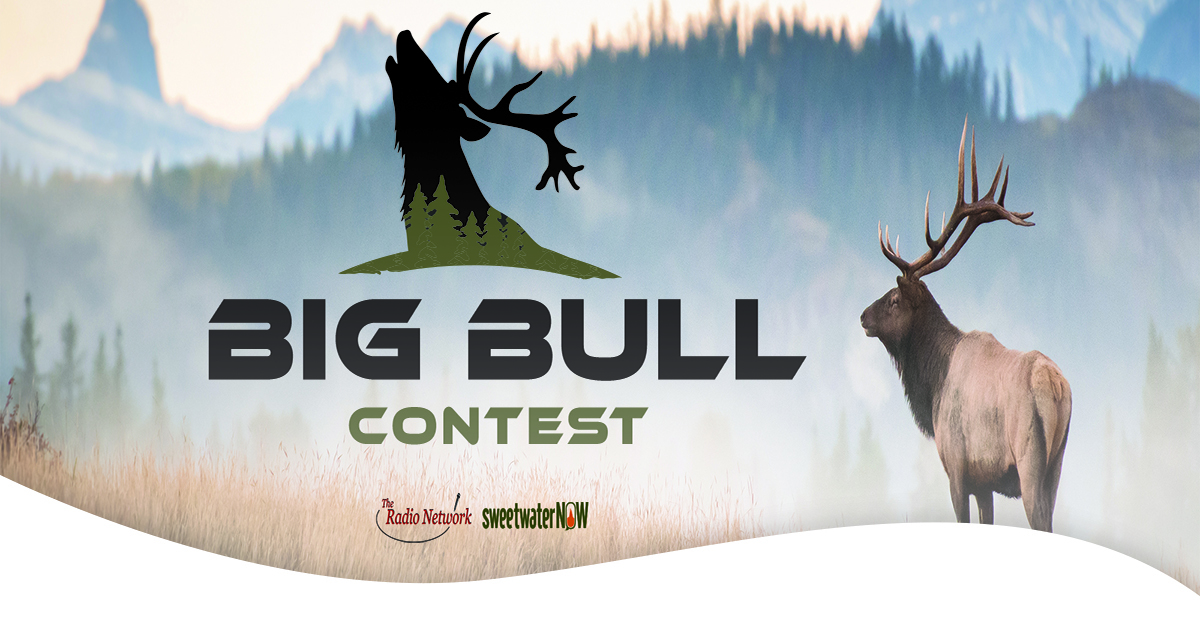 TRN Media’s Annual Big Bull Contest…it’s BACK!