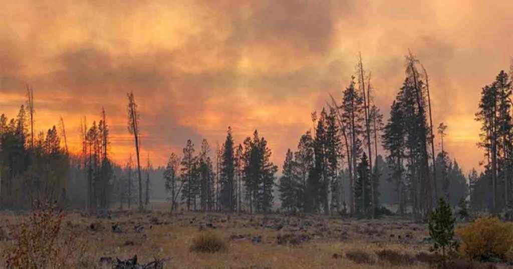 Some Land Owners Can Return to Property near Mullen Fire