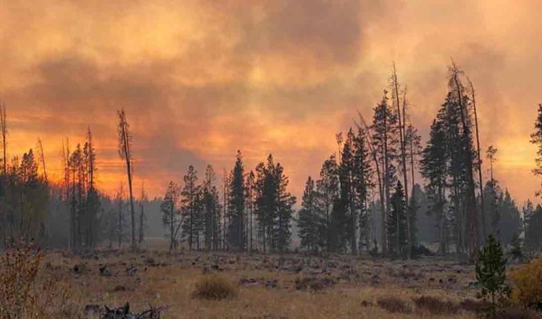 Some Land Owners Can Return to Property near Mullen Fire