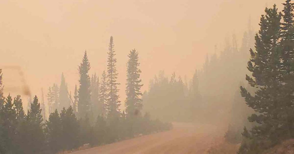 VIDEO: Mullen Fire Progression Video Released