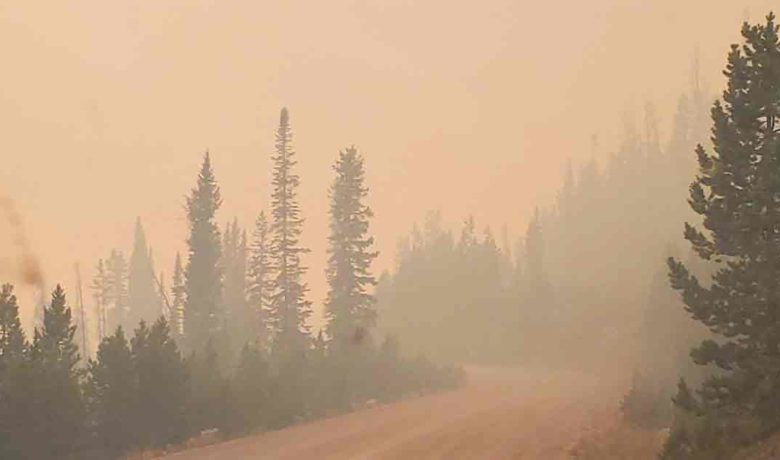 VIDEO: Mullen Fire Progression Video Released