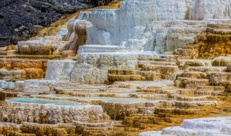 Yellowstone’s Tourism Contributes About $560 Million to Nearby Communities