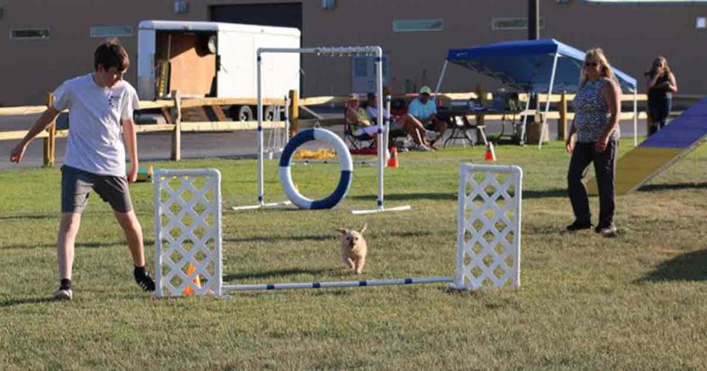 Sweetwater County 4-H Clubs Celebrate National 4-H Week