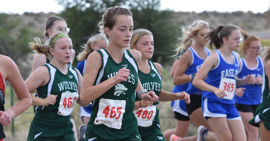 Wolves Finish in Top 10 at State Cross Country