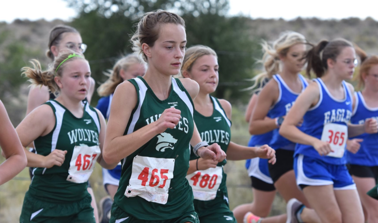 Wolves Finish in Top 10 at State Cross Country