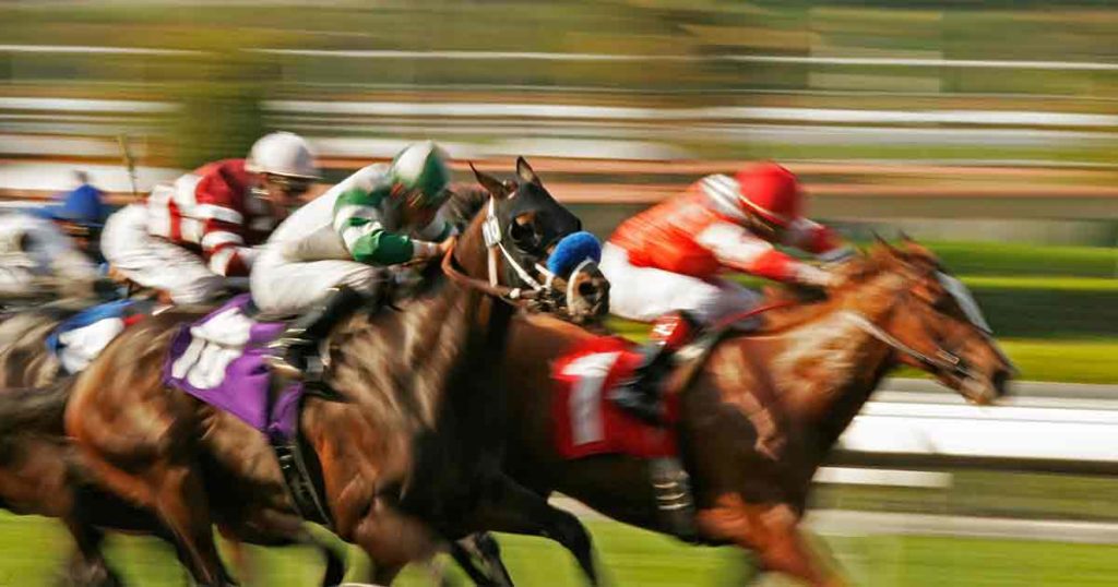 Euthanized Racing Horses’ Toxicology Reports Are Normal
