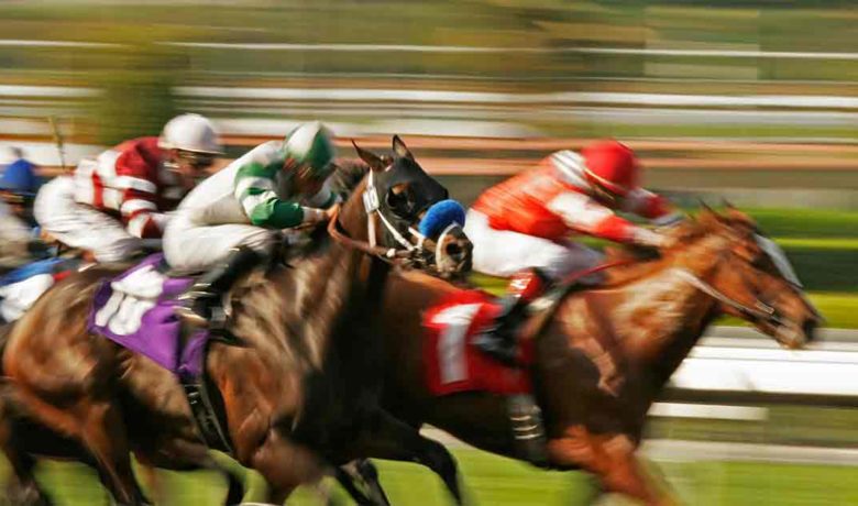 Euthanized Racing Horses’ Toxicology Reports Are Normal