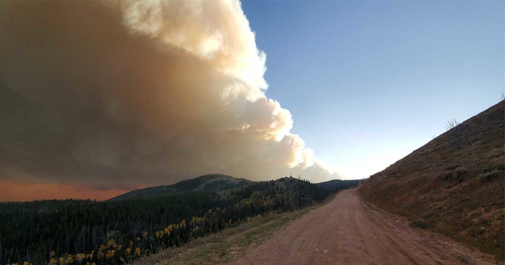 No New Growth on Mullen Fire