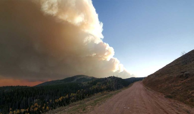 No New Growth on Mullen Fire