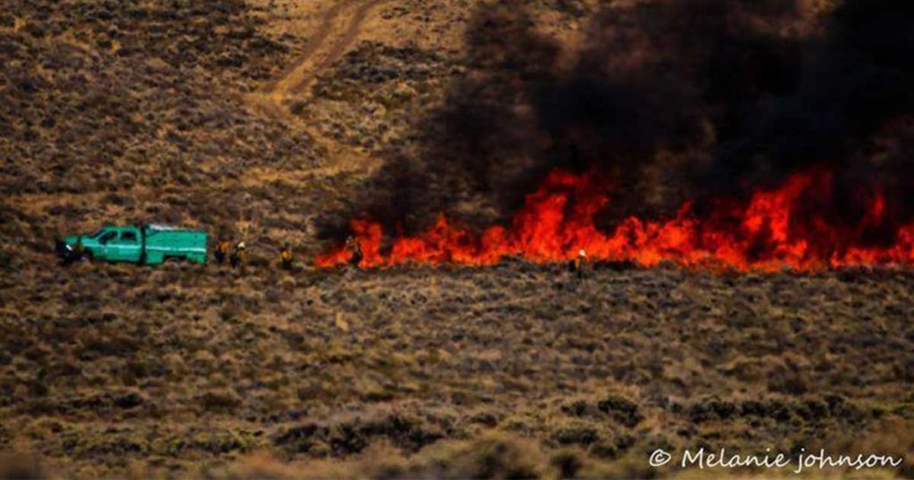 Mullen Fire Behavior Minimal Tuesday; Crews Cautious Due to Strong Winds