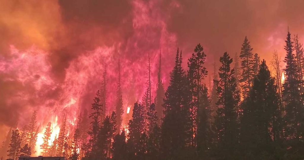 Cold Front Expected to Moderate Mullen Fire Growth