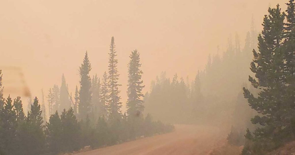 Chance of Mullen Fire Growth Minimal; 76 Percent Contained