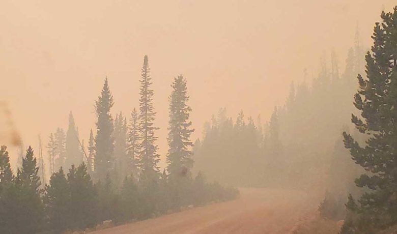 Chance of Mullen Fire Growth Minimal; 76 Percent Contained