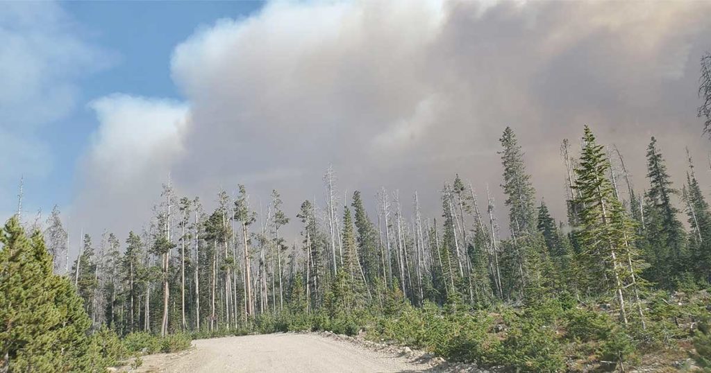 Mullen Fire Now 81 Percent Contained