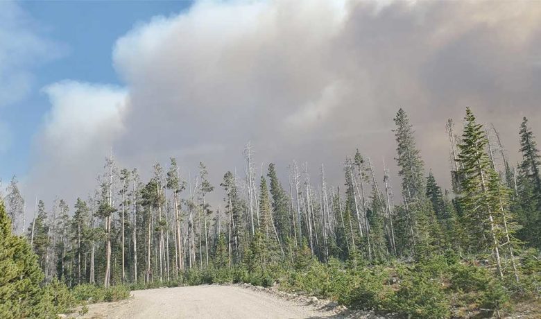 Mullen Fire Now 81 Percent Contained