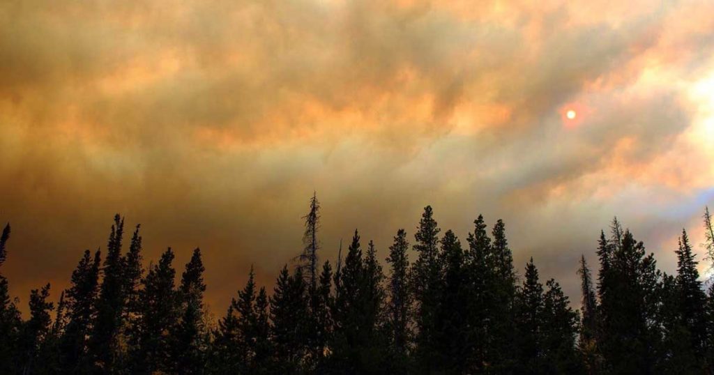 Mullen Fire Crews Achieve 18 Percent Containment