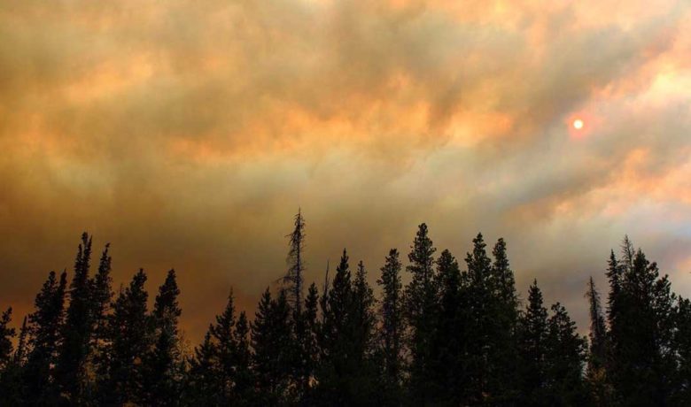 Mullen Fire Crews Achieve 18 Percent Containment