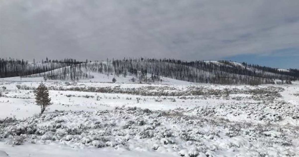 Snow Storm Cools Mullen Fire, Still Burning; Little to No Growth Expected