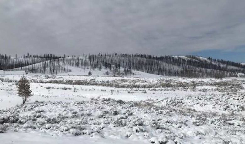 Snow Storm Cools Mullen Fire, Still Burning; Little to No Growth Expected