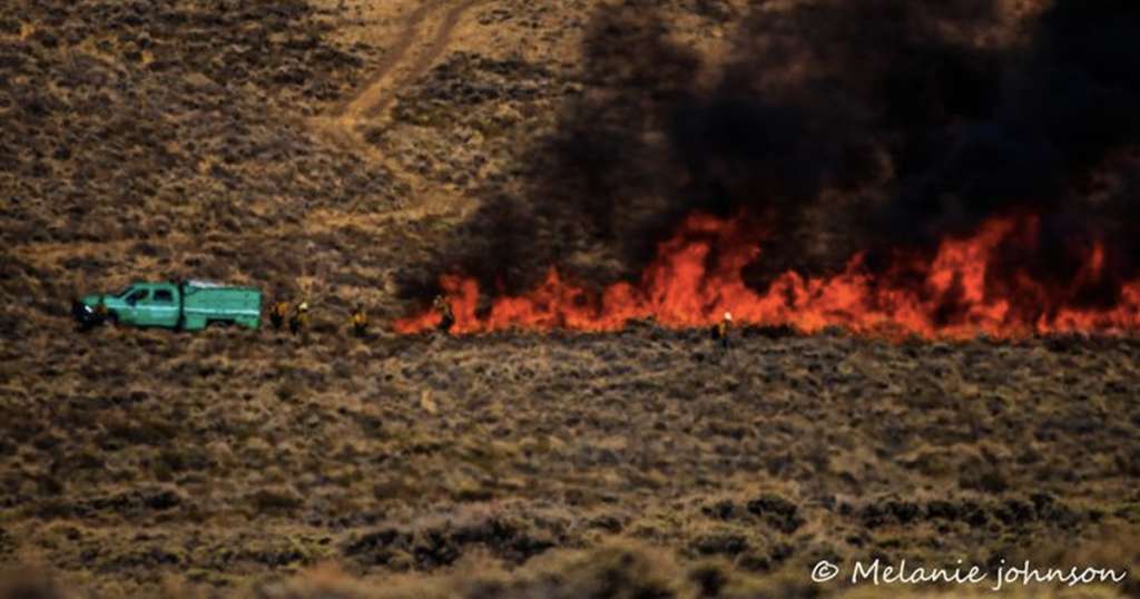 Mullen Fire Grows to 136,840 Acres, 6 Percent Contained