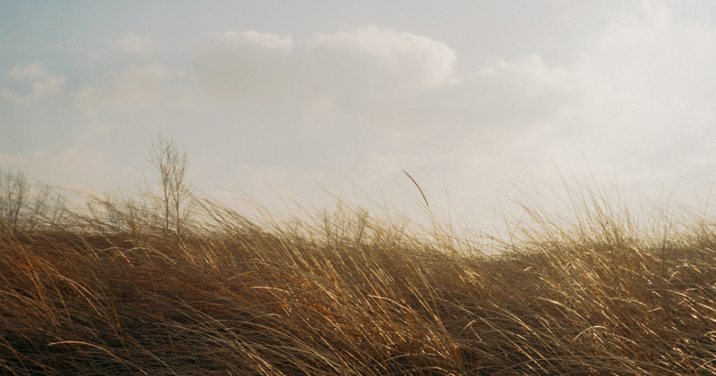 Majority of Sweetwater County, Southern Wyoming Under Red Flag Warning