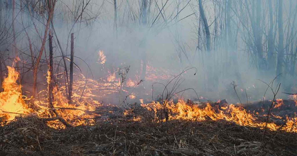 Fire Restrictions Lifted in Uinta County