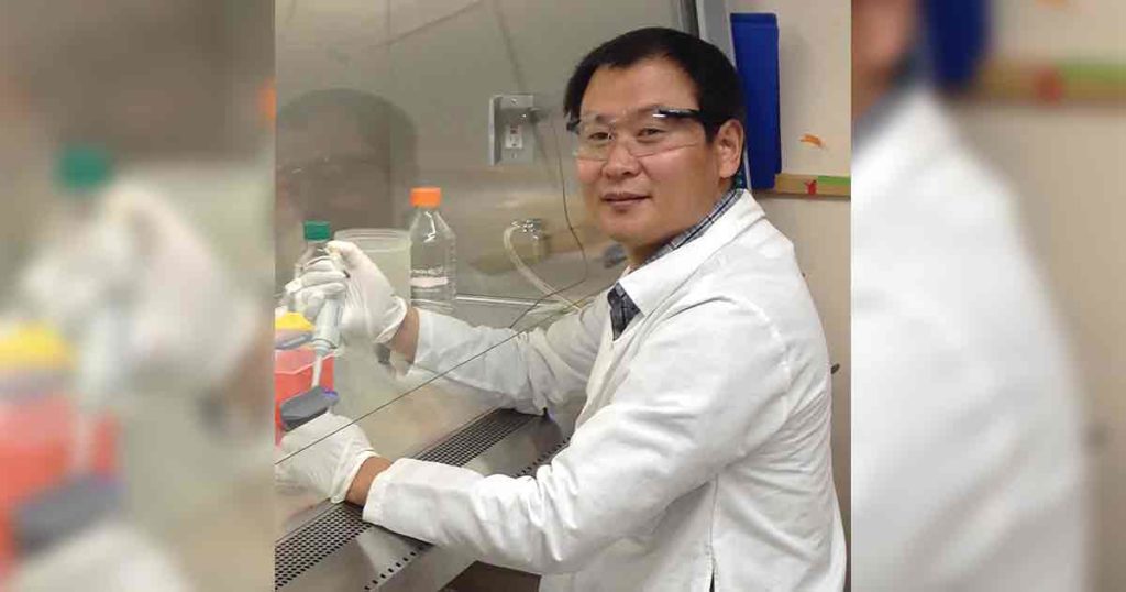 Cardiomyopathy Pig Study Findings May Help Humans