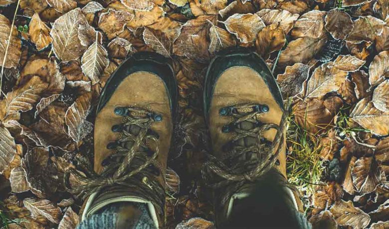 Wyoming State Parks Waive Fees for Veterans on November 11