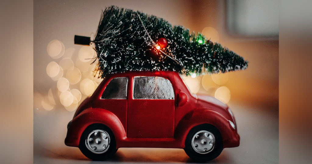 Christmas Tree Permits Now Available for BLM Public Lands