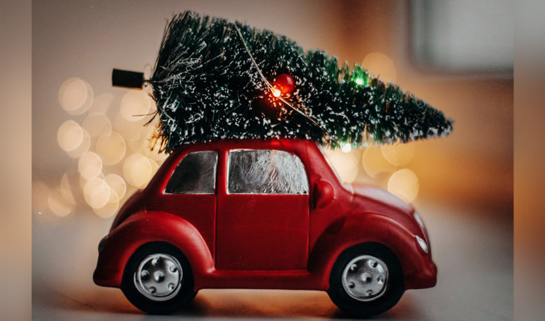 Christmas Tree Permits Now Available for BLM Public Lands