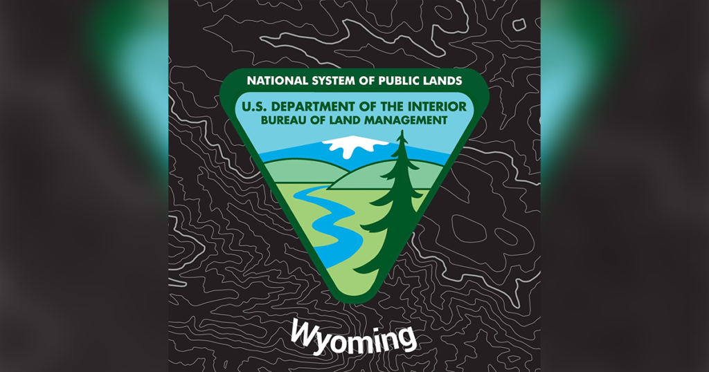Two BLM Employees Receive National Fire Awards