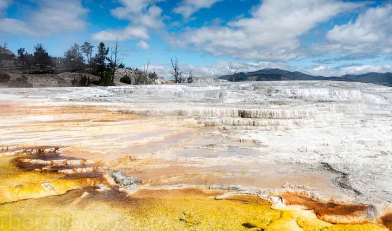 Yellowstone National Park Sees Decrease in October’s Visitation Numbers