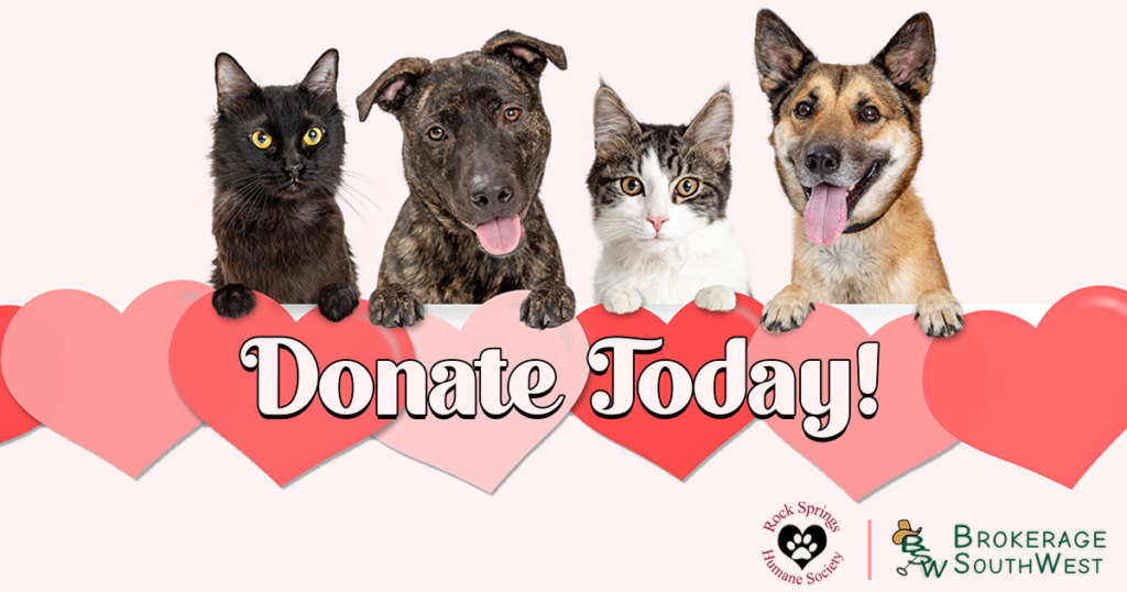 Show Love for Sheltered Fur Babies This Valentine’s Day