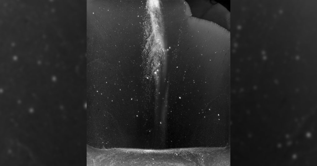 Western Features The Progression Photo Exhibit through March