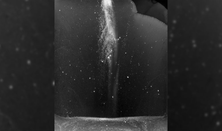 Western Features The Progression Photo Exhibit through March