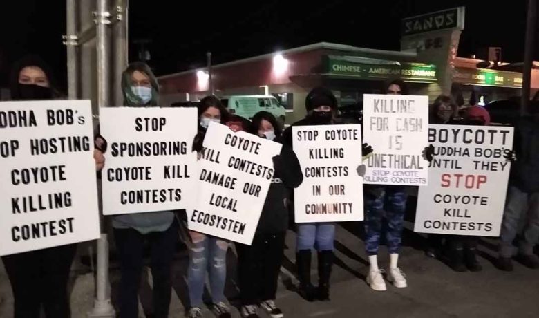 OPINION: Please Stop the Coyote Killing Contests