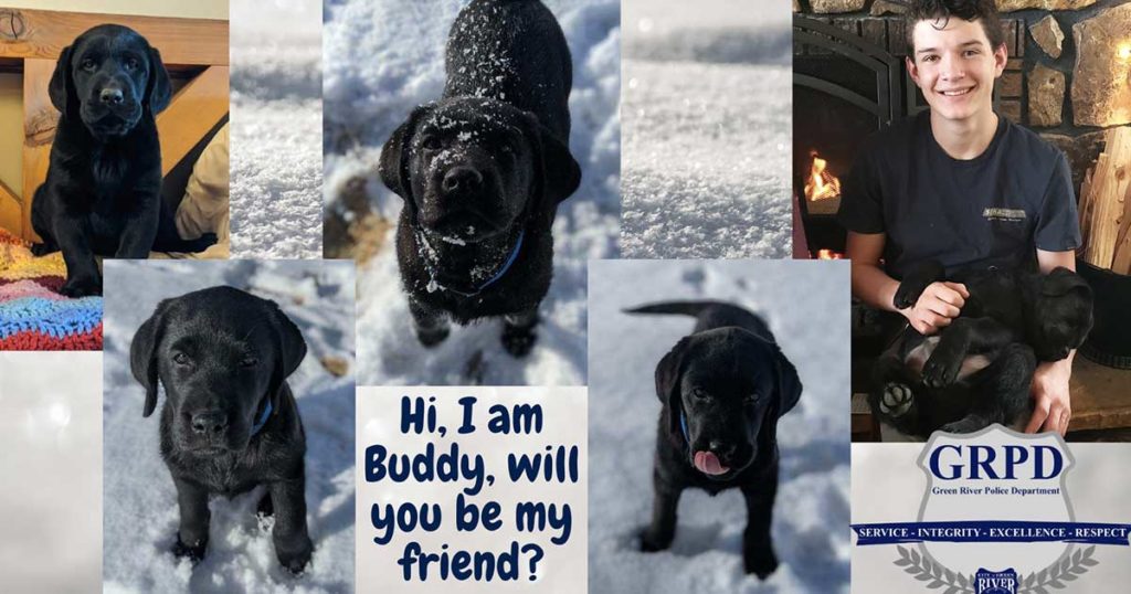 Therapy K9 Program Receives Green Light from Green River City Council