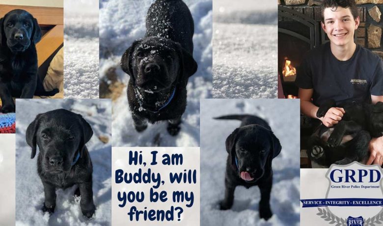 Green River City Council to Consider Purchase of Therapy Dog for GRPD