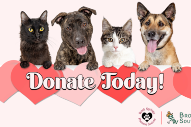 Fur Baby Love Drive