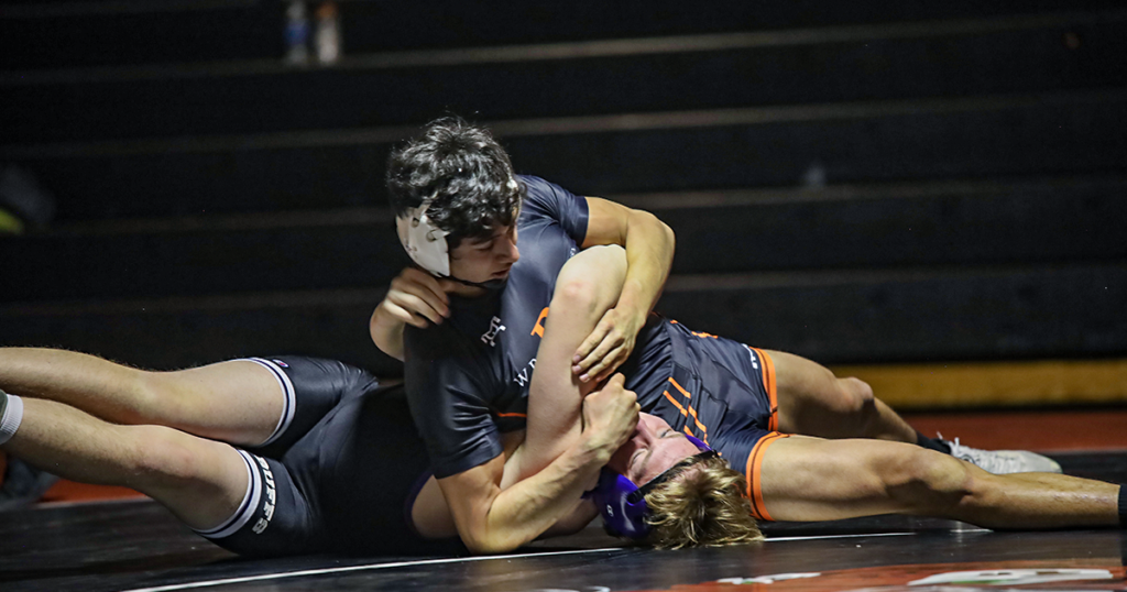 Tigers Grapple With Eagles and Buffaloes