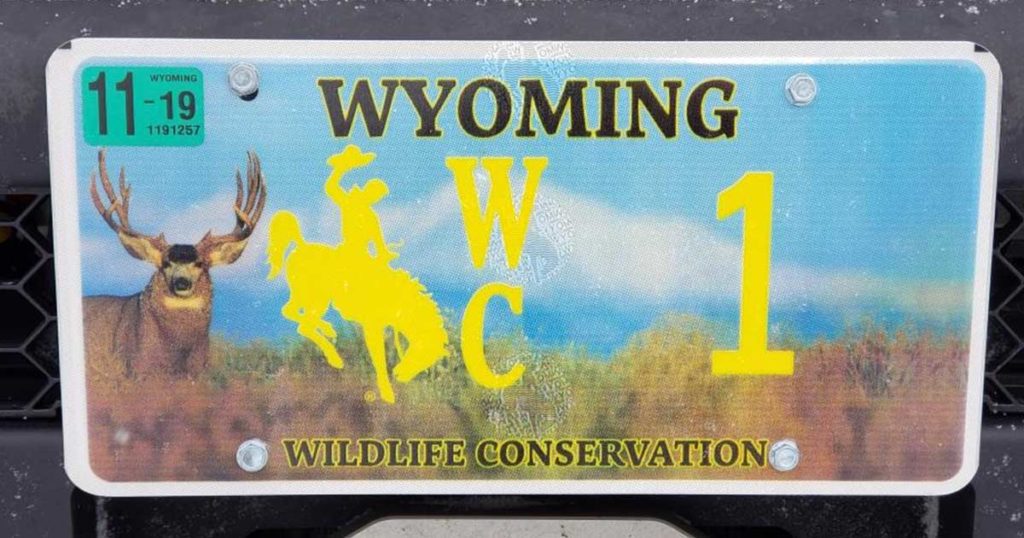 Wyoming Conservation License Plates Sales Generate Over $300K
